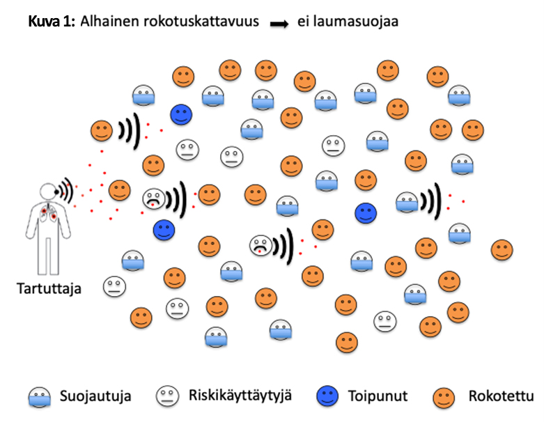 VIERASBLOGI: Kuinka korkea rokotuskattavuus vaaditaan laumasuojan saavuttamiseen? 1 kuva 1